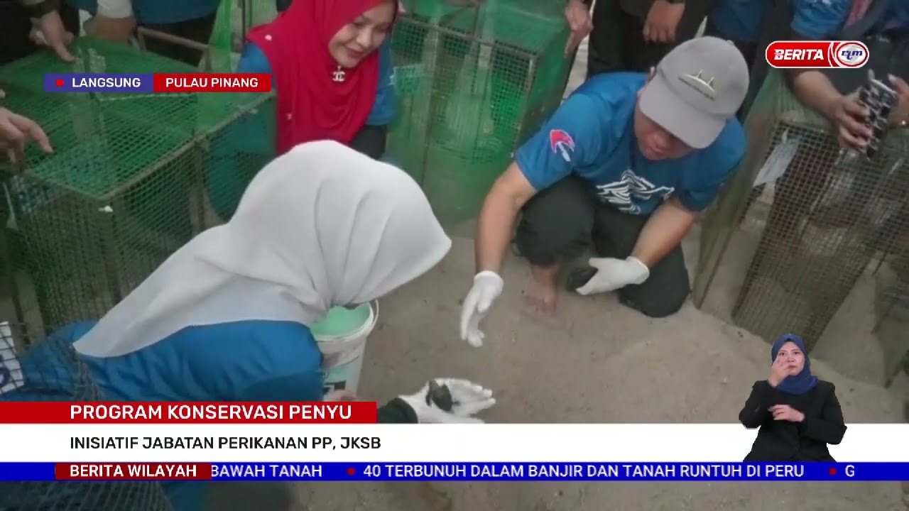 8 FEBRUARI 2023 -BERITA WILAYAH- PROGRAM KONSERVASI PENYU INISIATIF JABATAN PERIKANAN PP, JKSB